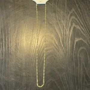 NWT Silver Reflection Gold Necklace